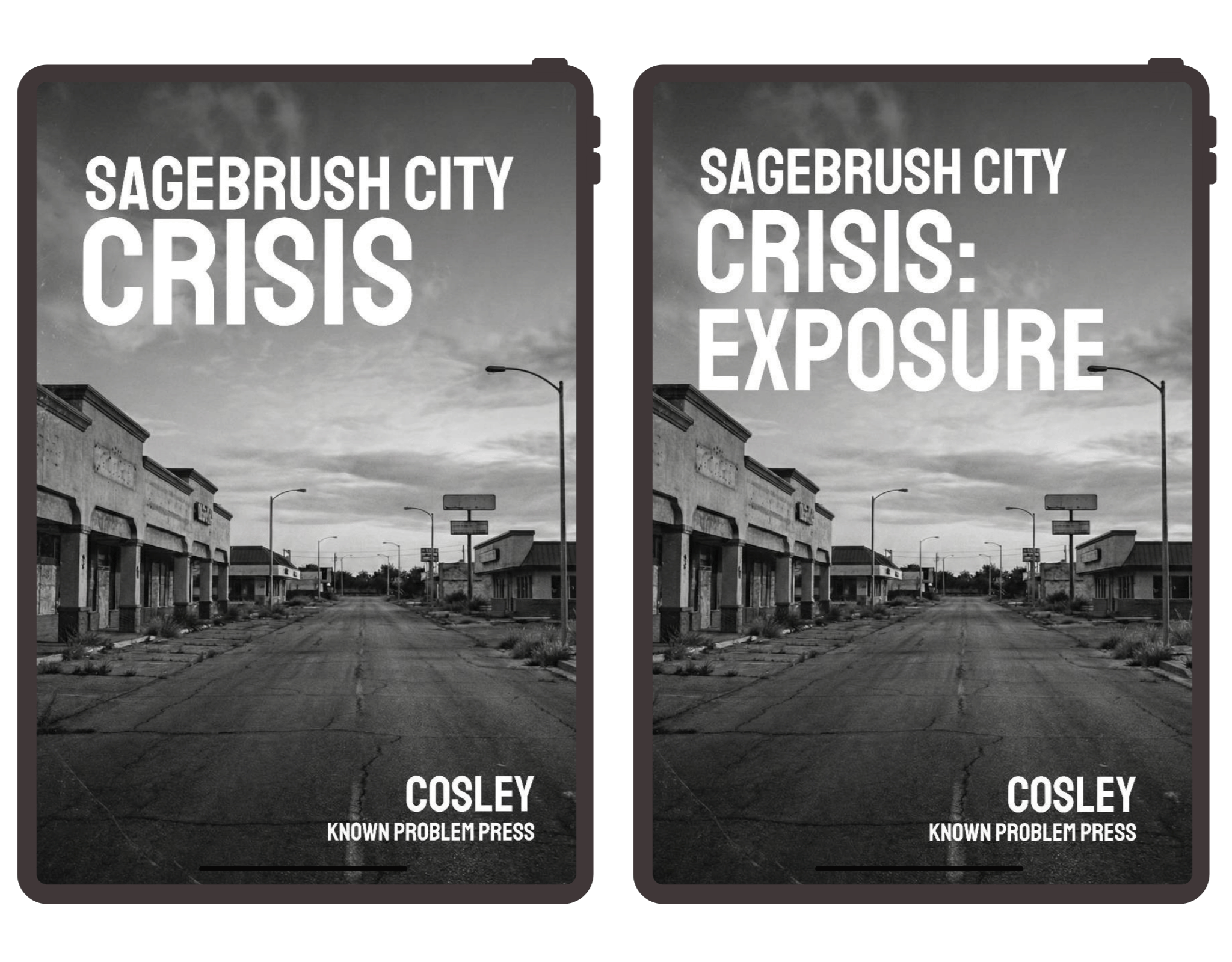 Sagebrush City Crisis (ebook bundle)
