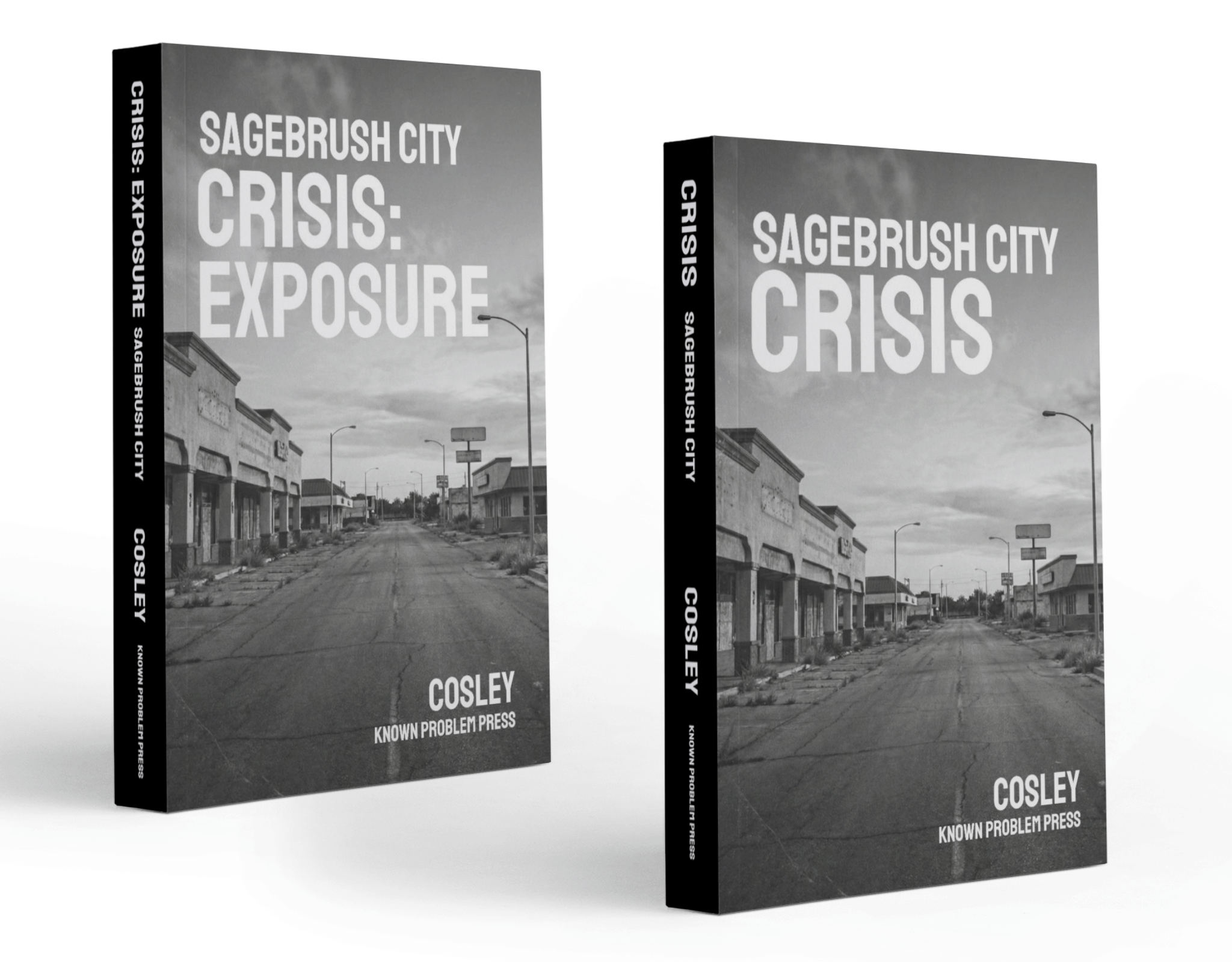 Sagebrush City Crisis (paperback bundle)