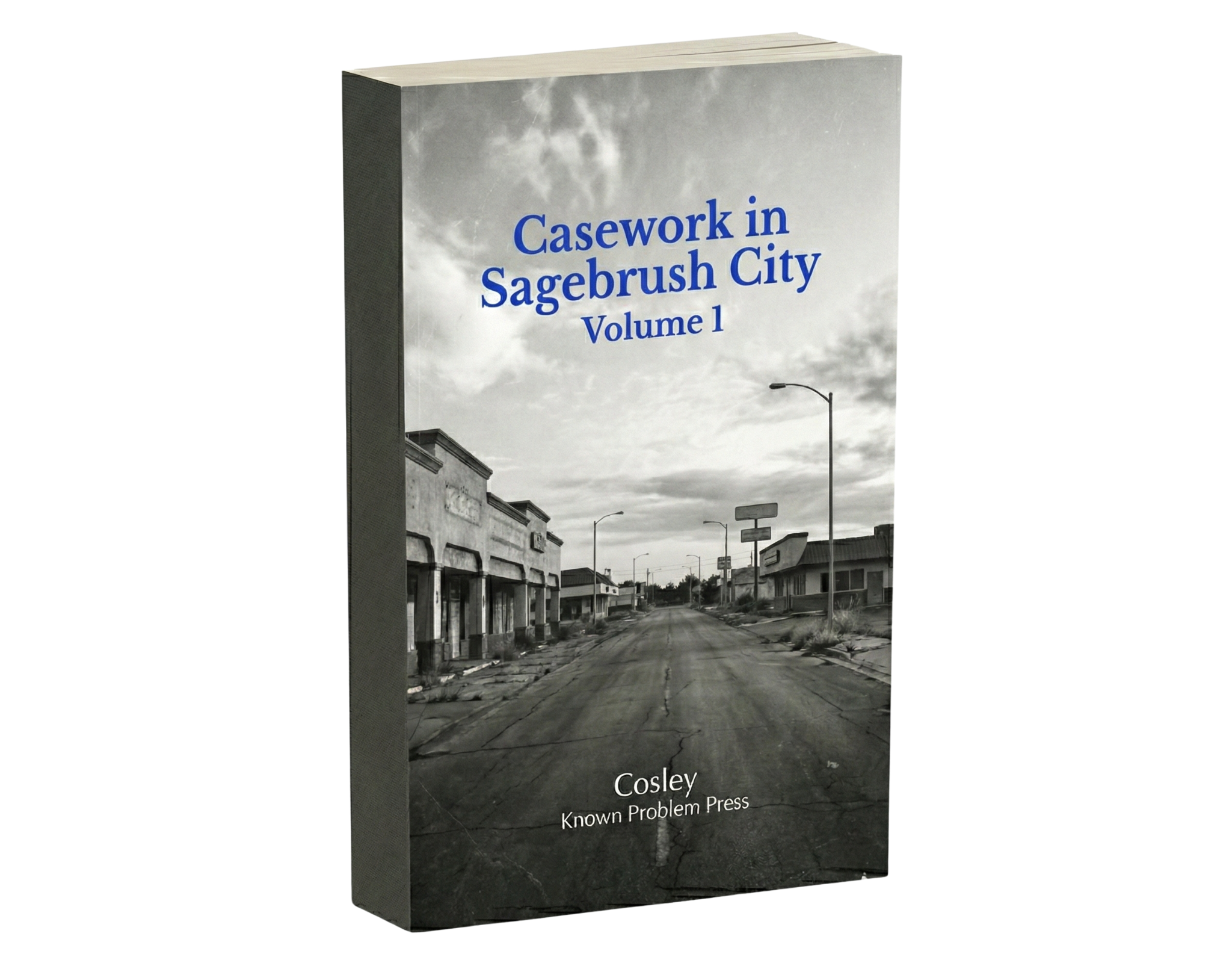 Casework in Sagebrush City vol 1 (instant download epub + pdf)