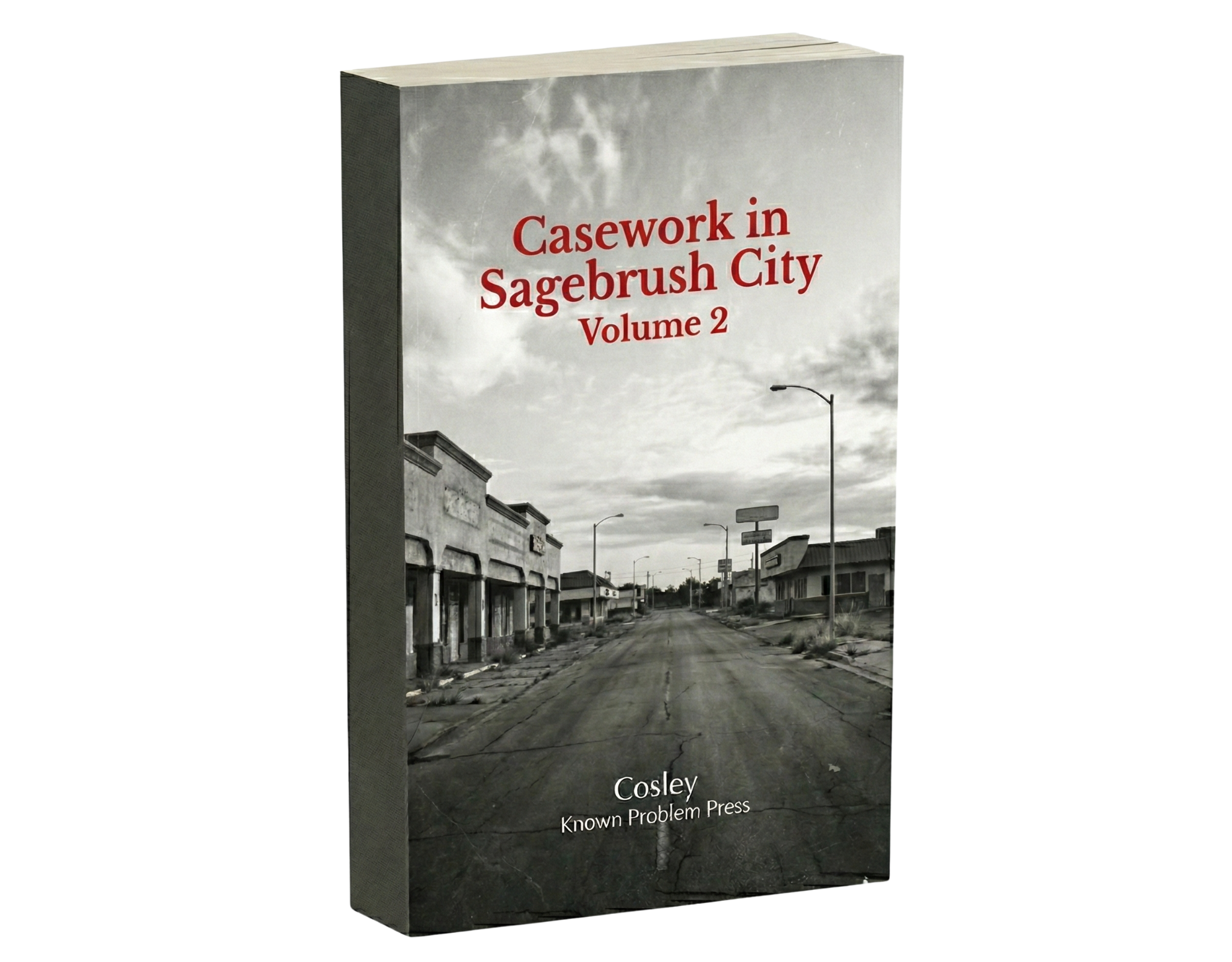 Casework in Sagebrush City vol 2 (instant download epub + pdf)