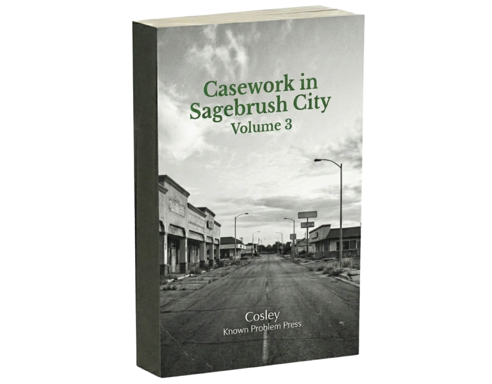 Casework in Sagebrush City vol 3 (instant download epub + pdf)