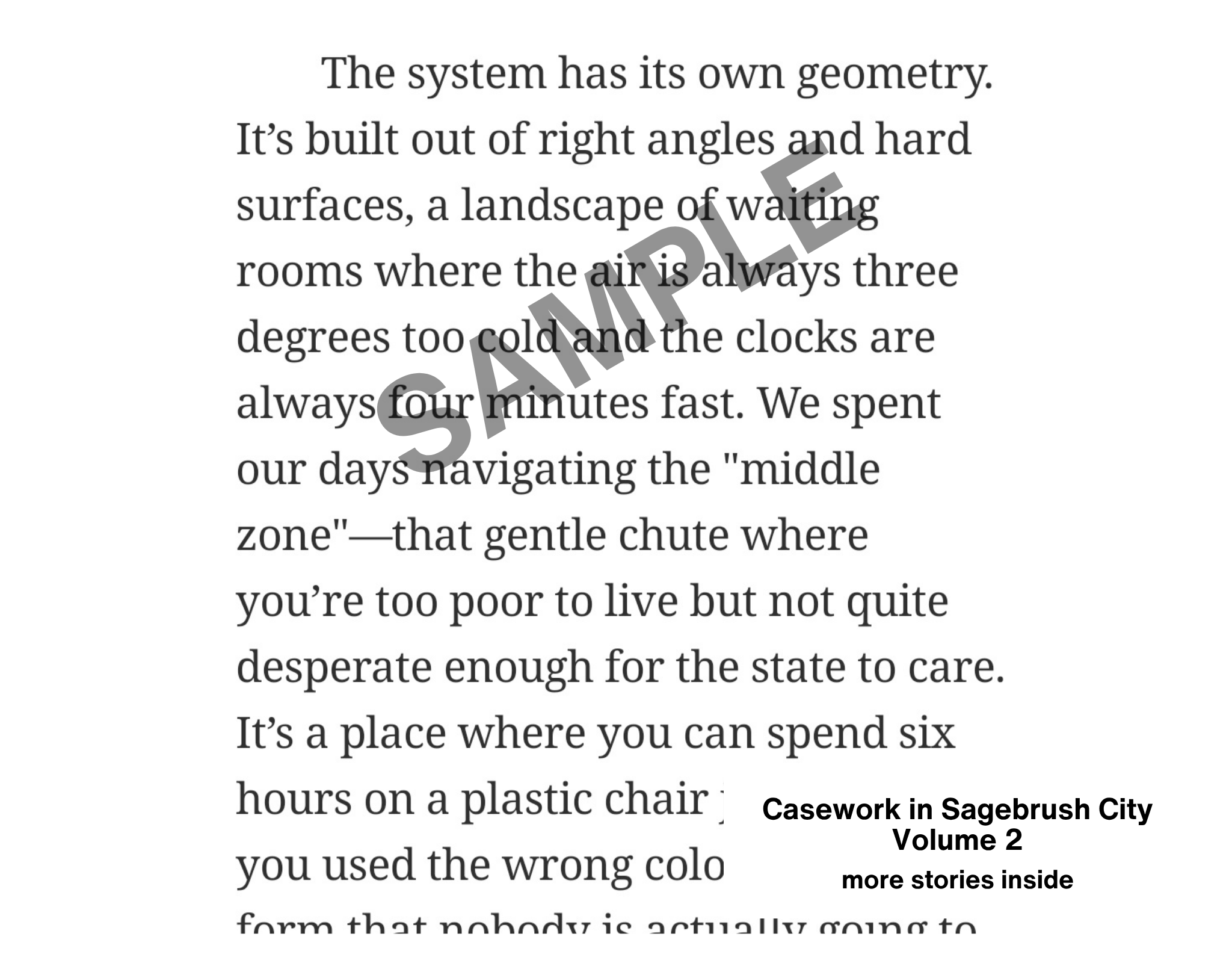 Casework in Sagebrush City vol 2 (instant download epub + pdf)