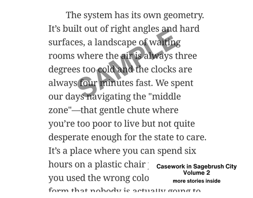 Casework in Sagebrush City vol 2 (instant download epub + pdf)