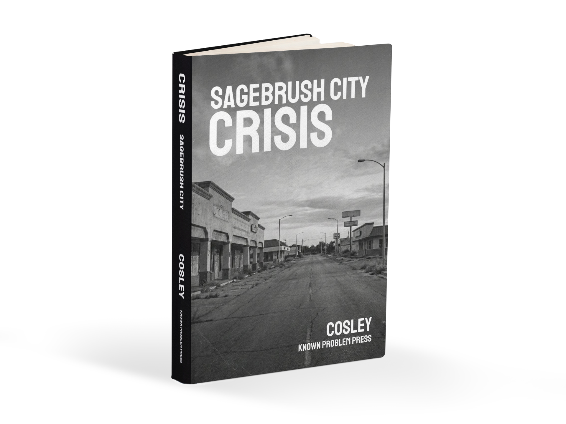 Sagebrush City Crisis (Paperback Bundle)