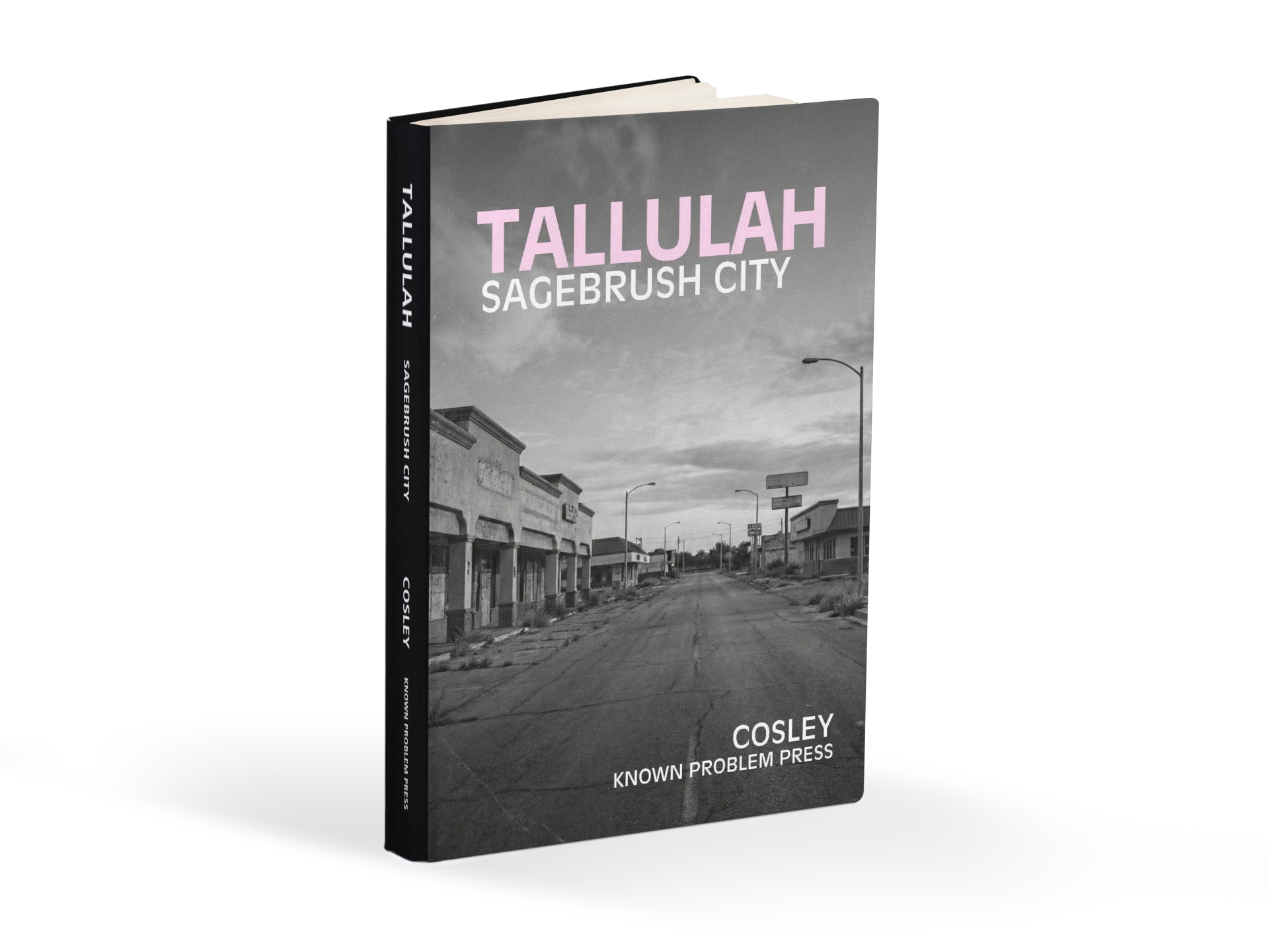 Sagebrush City Crisis (Paperback Bundle)